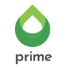 Prime Pakistan